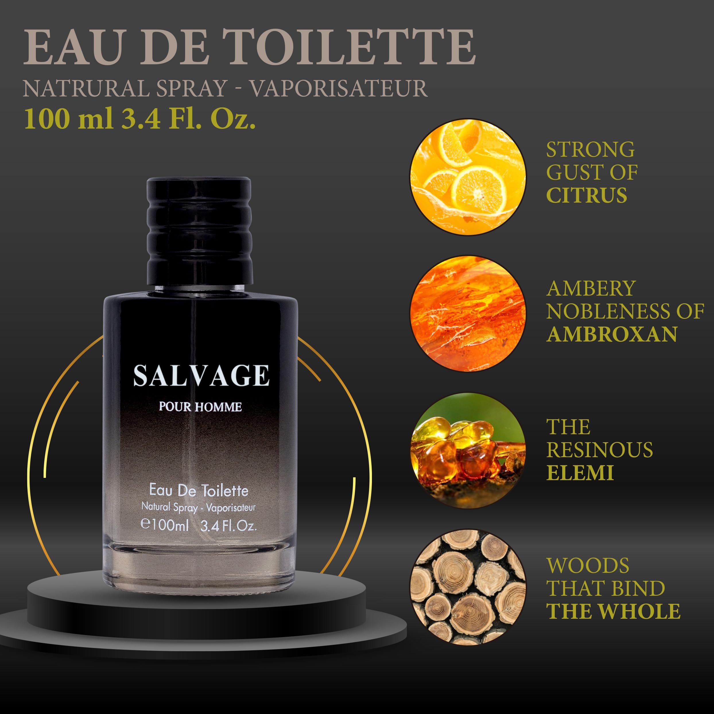 Salvage for Men 3.4 Oz Men's Eau De Toilette Spray Refreshing & Warm Masculine Scent for Daily Use Men's Casual Cologne Great Holiday Gift Smell Fresh All Day A Gift for Any Occasion